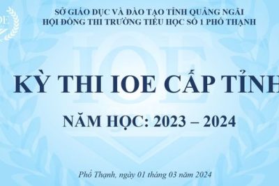 Cuộc thi IOE cấp tỉnh